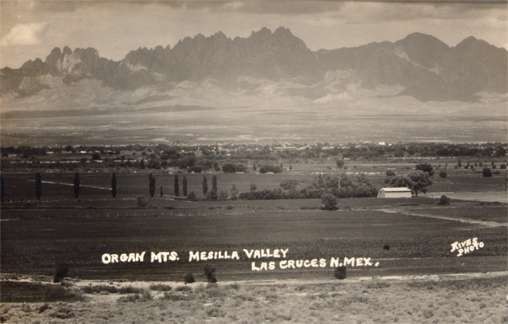 NEW MEXICO Las Cruces Valley Organ Mts. RPPC