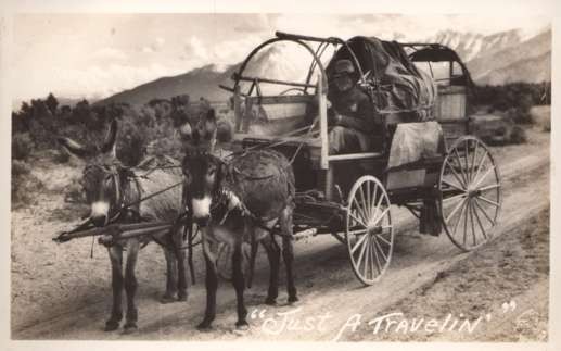 Nevada Donkey-Drawn Wagon on Road RPPC