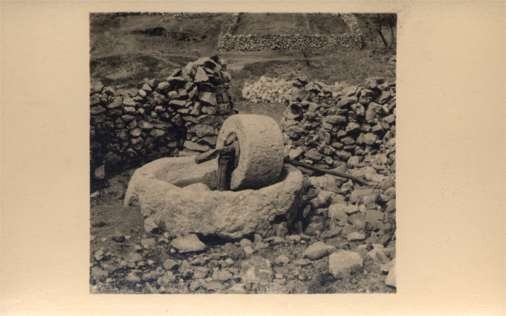 Palestine Israel Grinding Stone RPPC