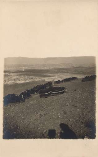 Palestine Israel Tents in Open Field RPPC