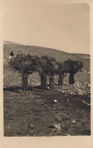 Palestine Israel Women Carrying Loads of Grass RPPC