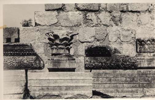 Palestine Synagogue Wall Designs RPPC