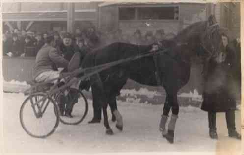 Harness Racer after Finish Real Photo Sports