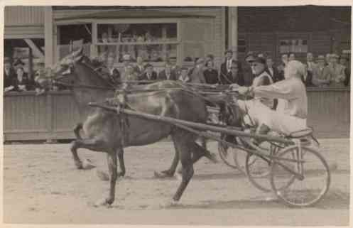 Harness Racers Real Photo Sports