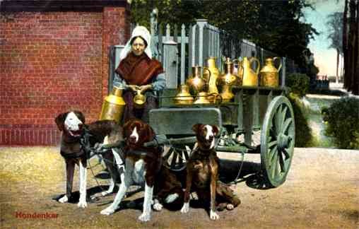 Dog-Drawn Milk Cart