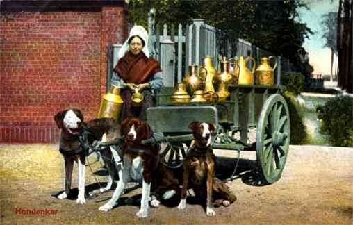 Dog-Drawn Milk Cart