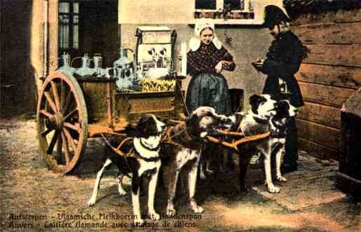 Policeman by Dog-Drawn Milk Cart