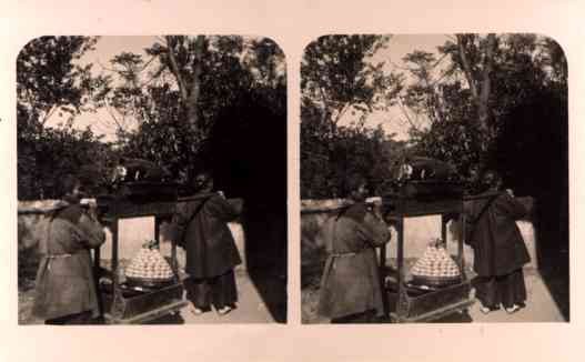 China Carrying Pig Stereoview Real Photo