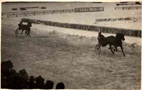 Competing Harness Racers RP