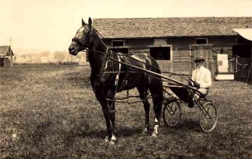 Harness Racer by Barn RP