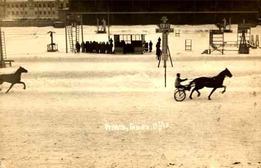 Harness Horse Racer Real Photo