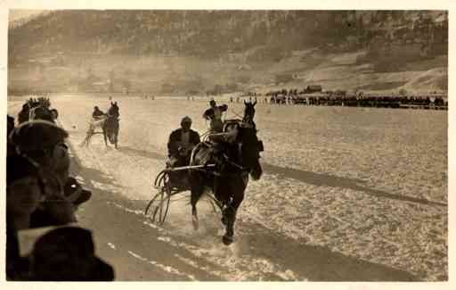 Harness Horse Race Real Photo