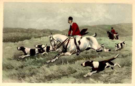 Hunting on the Horses Dogs