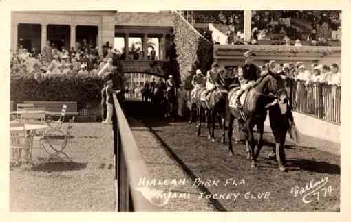 FL Miami Jockey on the Horses RP