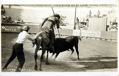 Mexican Bull-Fighting Real Photo