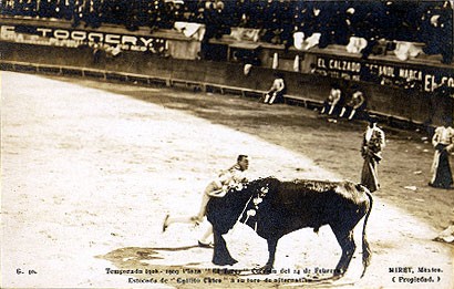 Mexico Bull Fighting Real Photo