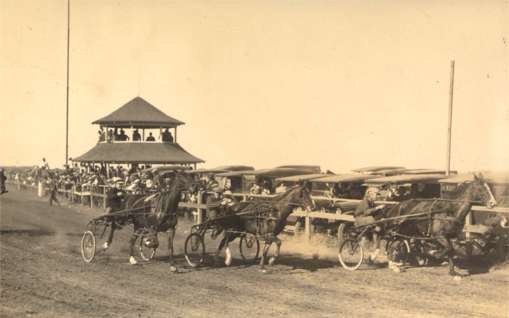 Harness Racers Real Photo