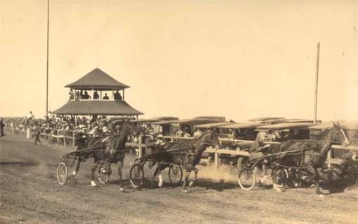 Harness Racers Real Photo