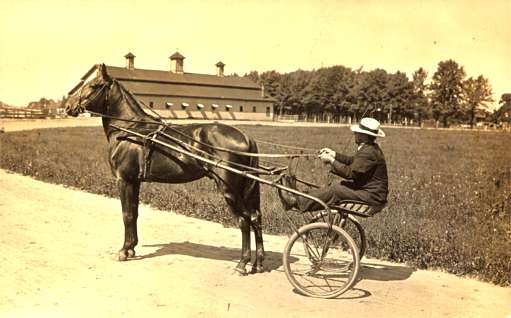 Harness Racer Field Barn Real Photo