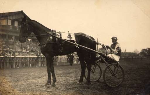Harness Racer Hasse Tokyo 1931 Real Photo