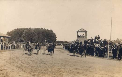 Harness Racers on Track Real Photo