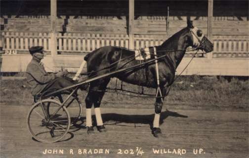 Harness Racer Braden Real Photo