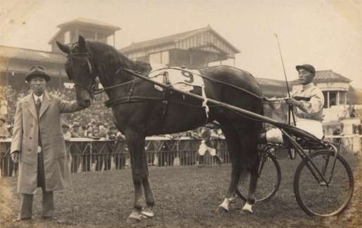 Harness Racer Tokyo Race Track Real Photo