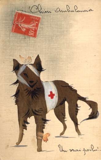 Wounded Red Cross Dog Hand-Drawn