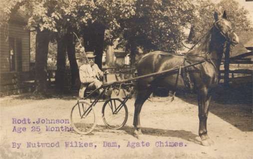 Harness Racer Real Photo