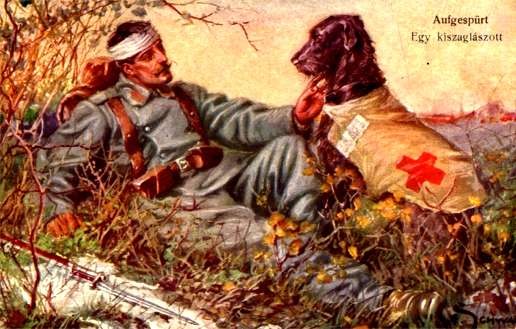 Red Cross Dog Wounded in Grass WWI