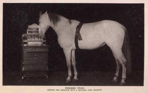 Horse Working Cash Register Real Photo