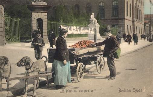 Dog-Drawn Cart Berlin Germany