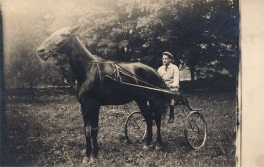 Harness Racing in Field Real Photo