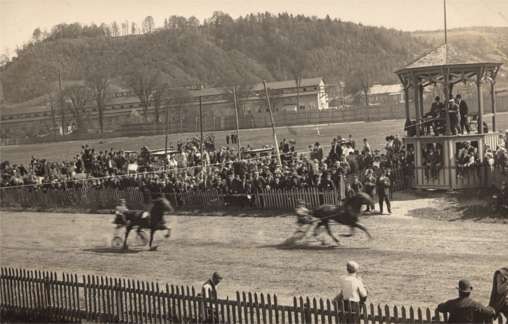 Horse Harness Racers on Track Real Photo