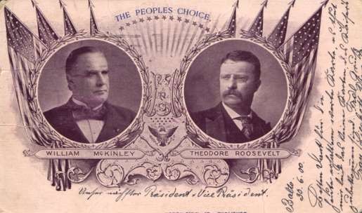 President Vice-President Roosevelt McKinley Vote