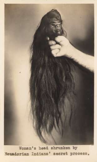 Shrunken Woman's Head Real Photo