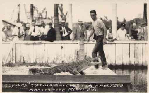 Alligator Wrestler Coppinger Real Photo