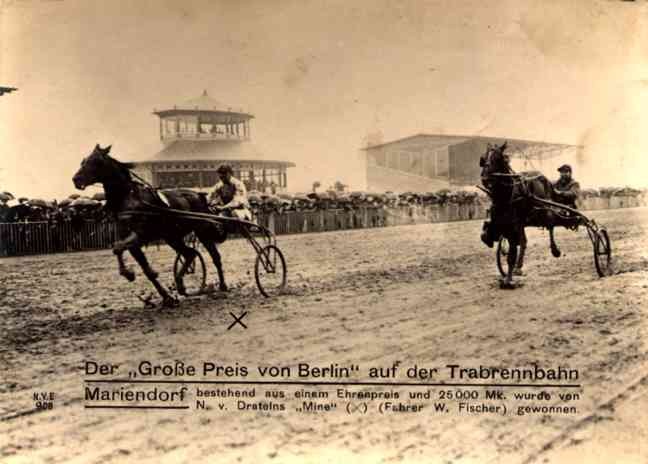 Harness Racers at Race Real Photo