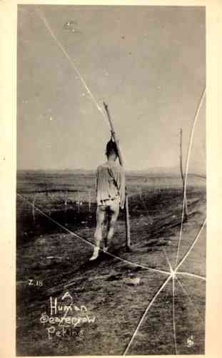 Dead Chinese Lynched as Scarecrow China Real Photo