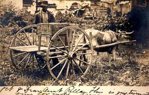 Black by Bull-Drawn Cart Real Photo