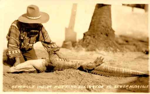 Seminole Putting Alligator to Sleep RP