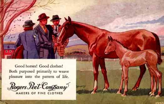 Advert Clothes Group by Horse & Colt