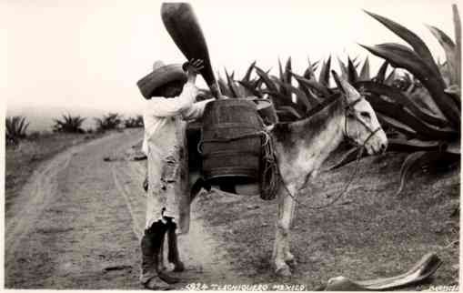 Farmer by Donkey Brehme Real Photo