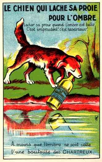 Dog Holding Bottle at Shore Advert Wine