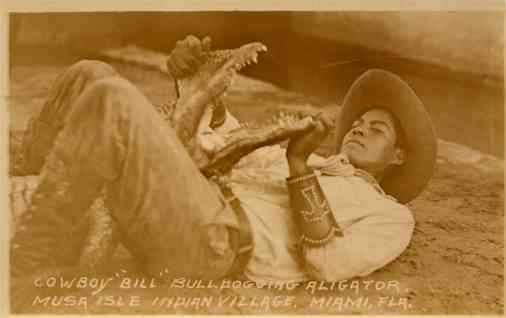 Seminole Indian Cowboy Bill Alligator Miami FL RP