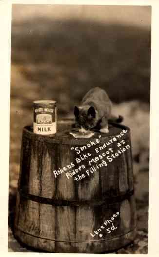 Advert Condensed Milk Kitten on Barrel RP