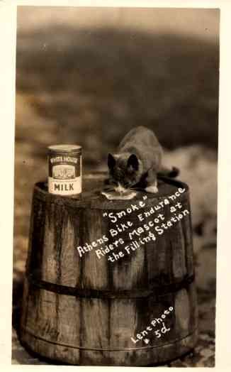 Advert Condensed Milk Kitten on Barrel RP