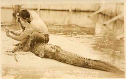Coppinger Holding Open Alligator's Jaw FL Miami RP