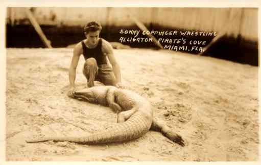 Wrestler Petting Alligator Miami FL Real Photo