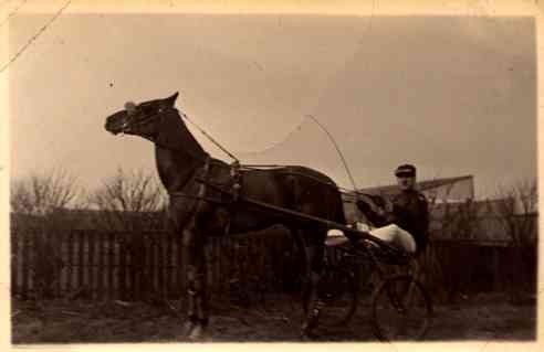 Harness Racer at Start Real Photo